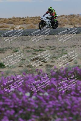 media/Jan-14-2023-SoCal Trackdays (Sat) [[497694156f]]/Turn 14 Exit Bloomig (145pm)/